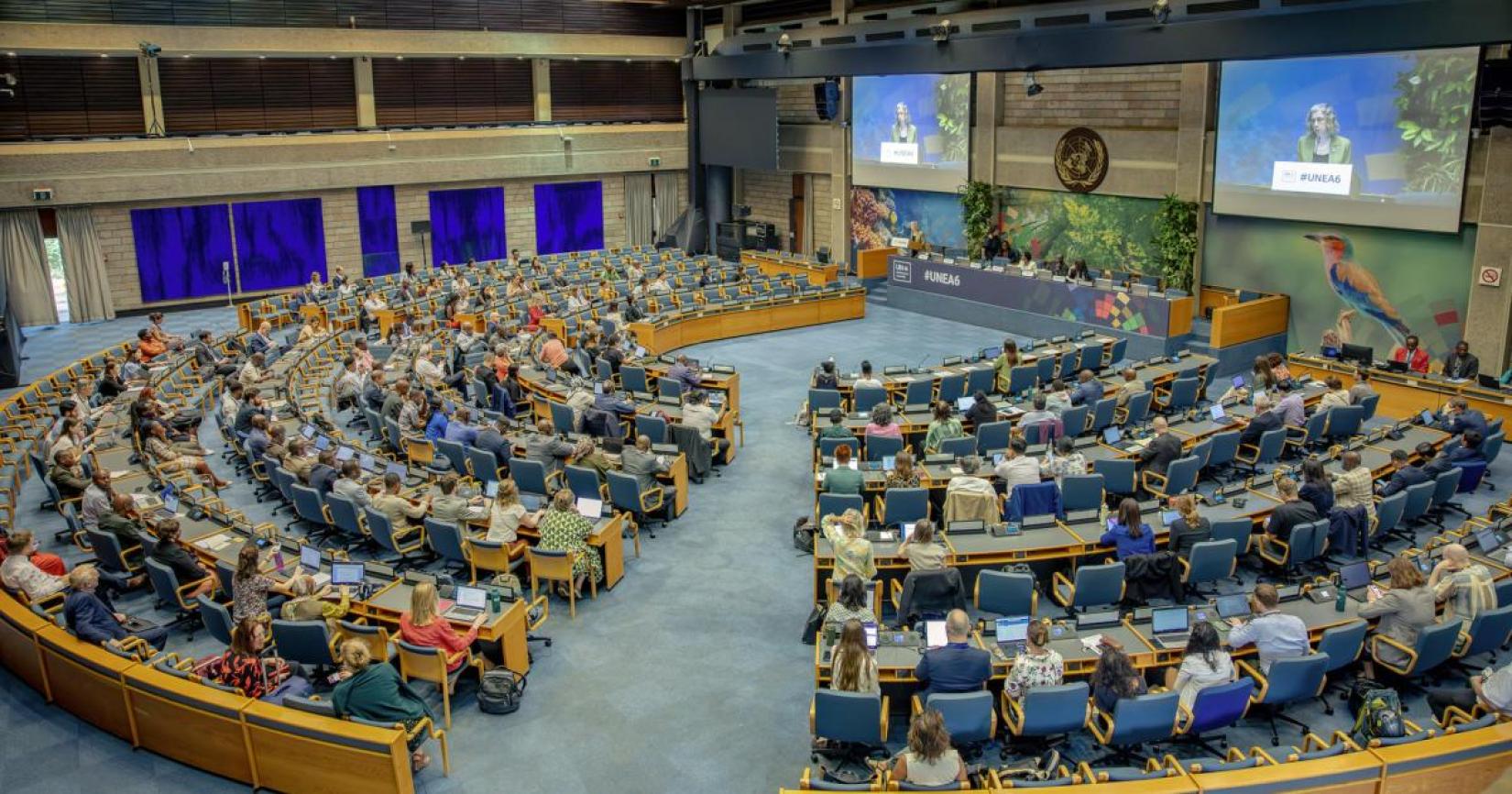 VI período de sesiones de la Asamblea de las Naciones Unidas sobre el Medio Ambiente | Naciones Unidas en Guatemala